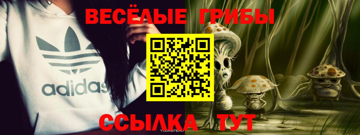 Псилоцибиновые грибы Cubensis Алушта