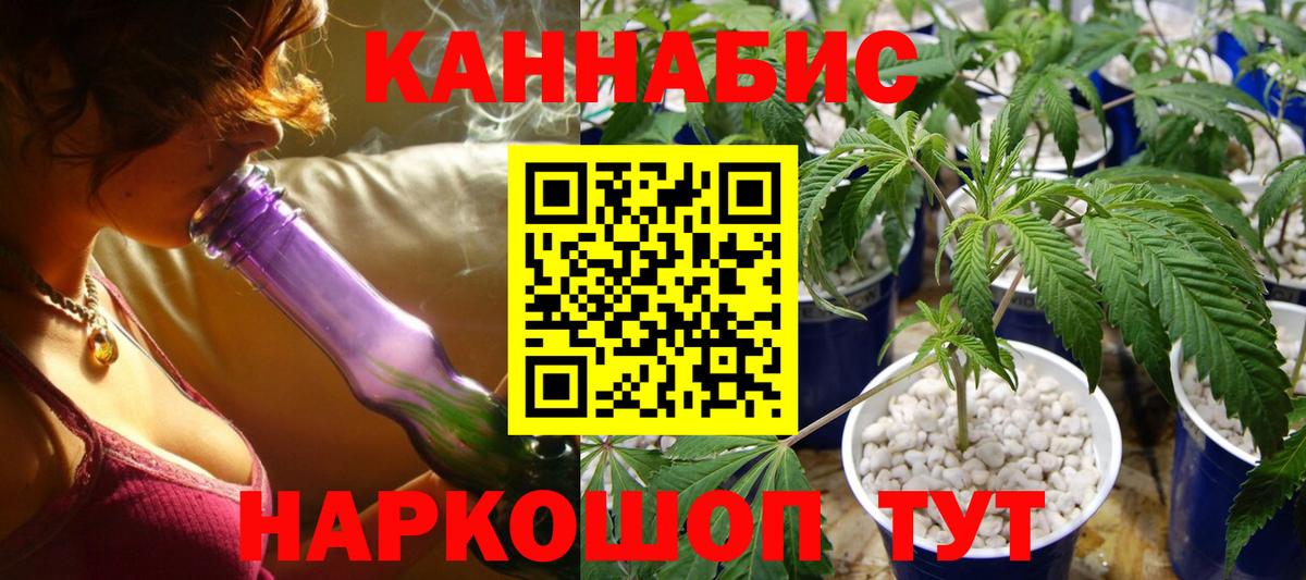 Шишки марихуана VHQ  Марихуана планчик  Алушта  Вход с VPN  Марихуана сатива  Бошки марихуана конопля 